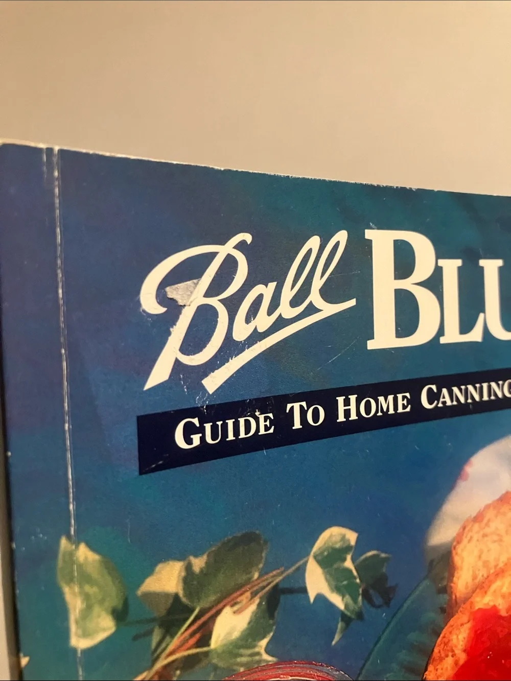 Ball Blue Book Guide to Home Canning, Feeezing, and Dehydration (VTG)